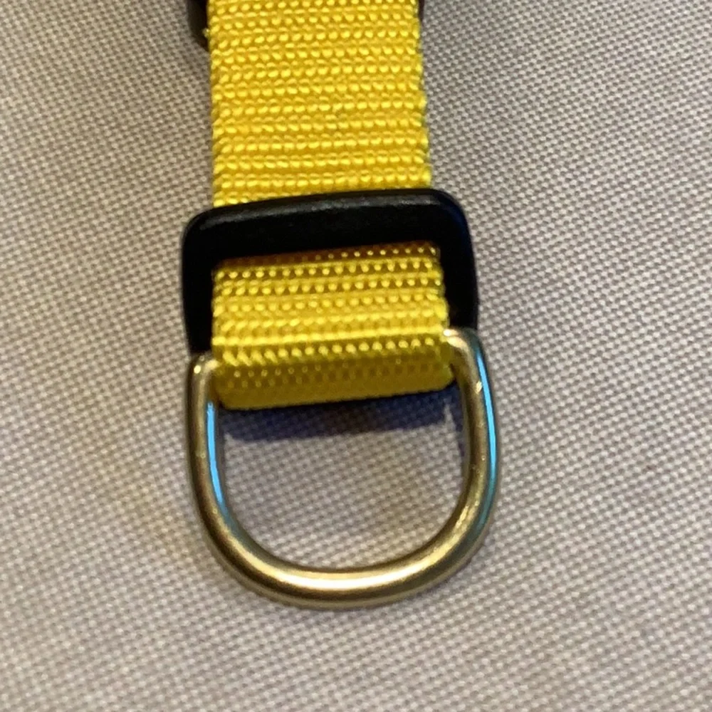 Dog + Bone - Dog COLLAR - Yellow - OS (Adjustable) - Size S 11”-14”